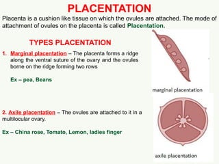 Comprehensive Morphology of Flowering Plants: Roots, Stems, Leaves, and ...