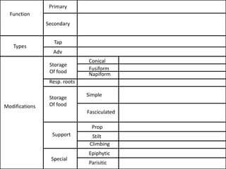Fasculated Roots Morphology Of Flowering Plants | PDF