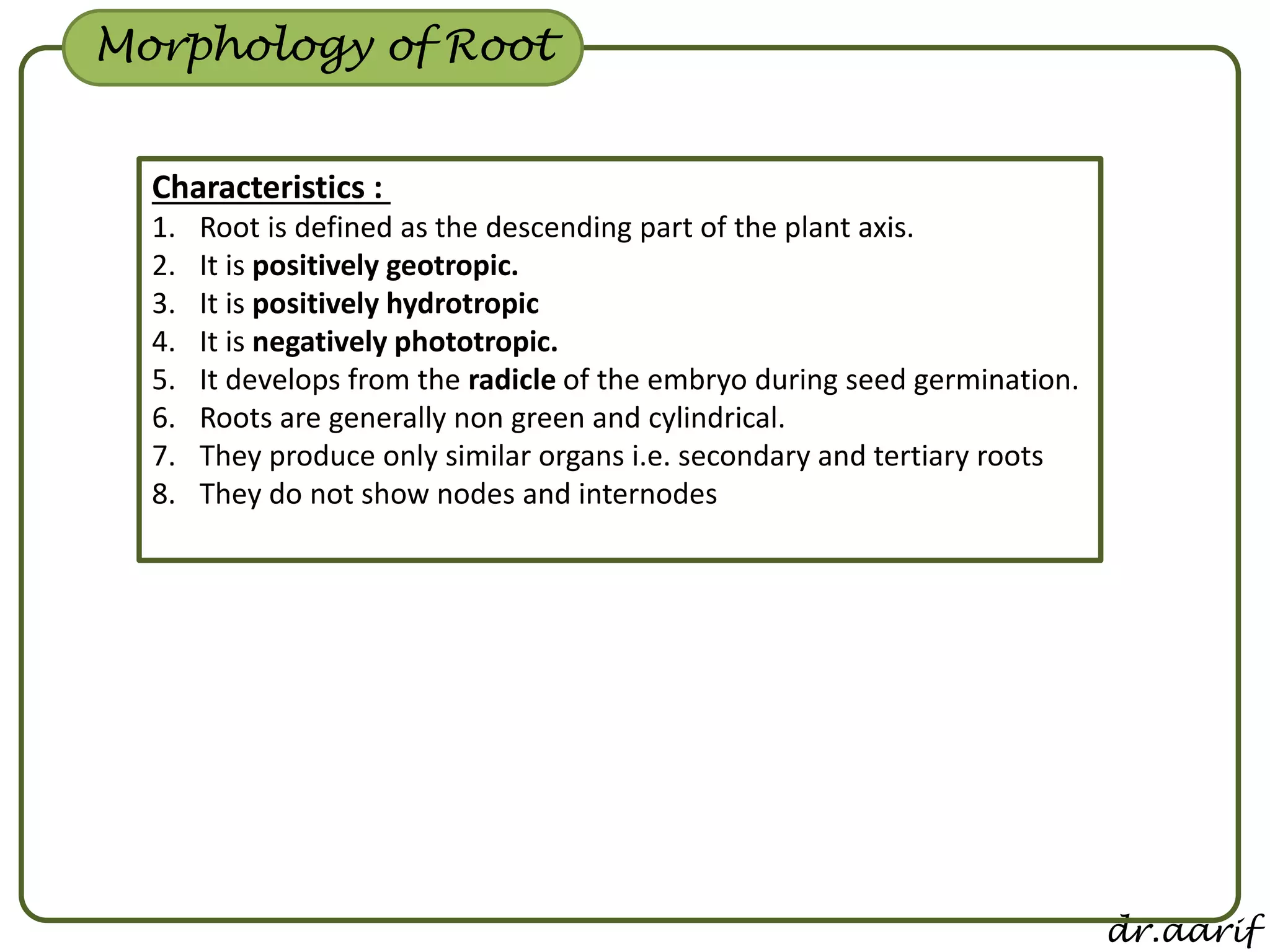 Morphology of flowering plants - I (root, stem & leaf) | PPSX