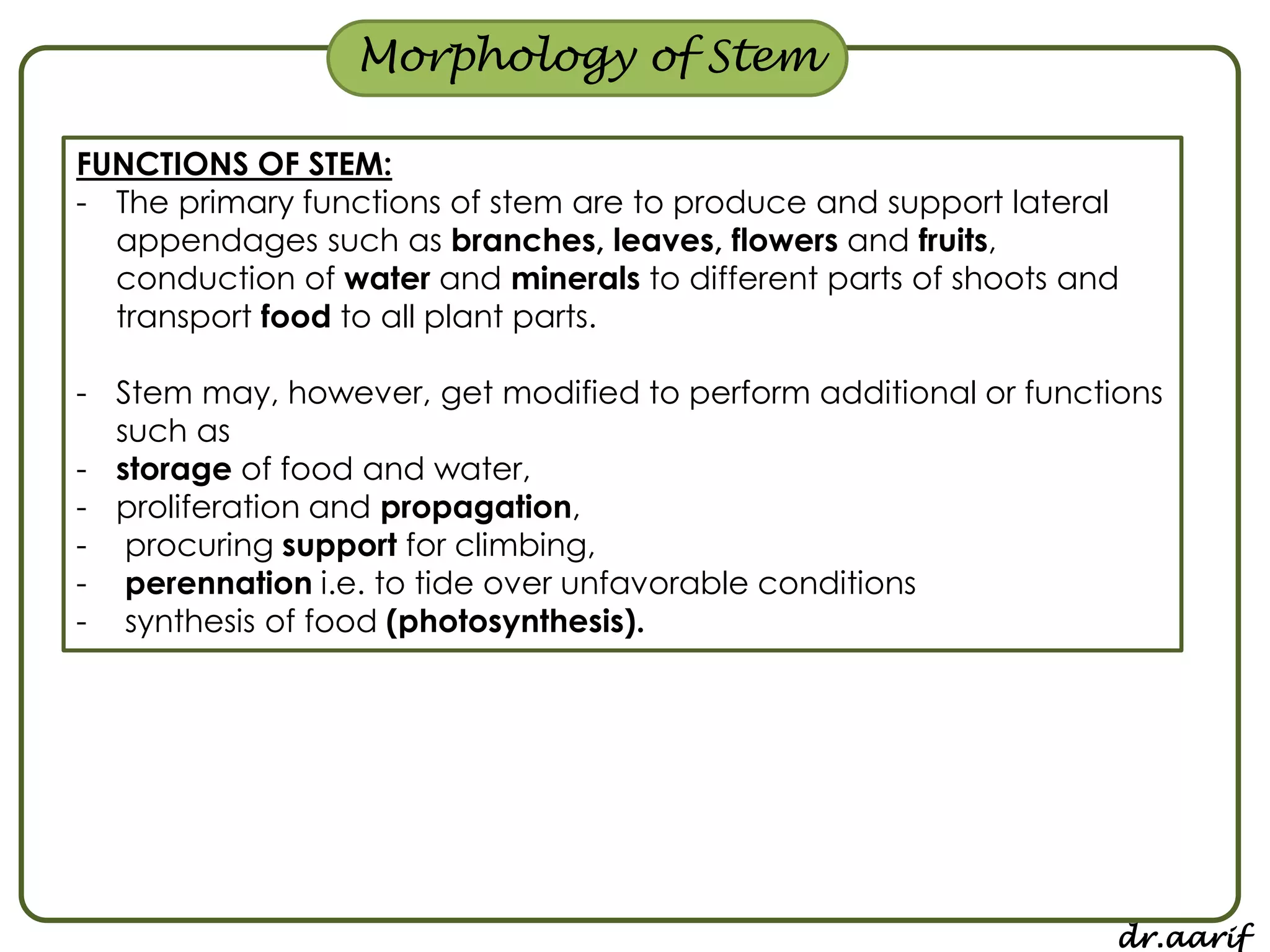 Morphology of flowering plants - I (root, stem & leaf) | PPSX