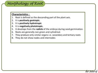 Morphology of flowering plants - I (root, stem & leaf) | PPSX