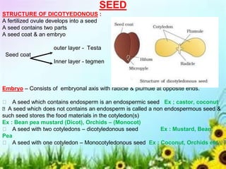 SEED
STRUCTURE OF DICOTYEDONOUS :
A fertilized ovule develops into a seed
A seed contains two parts
A seed coat & an embryo
outer layer - Testa
Seed coat
Inner layer - tegmen
Embryo – Consists of embryonal axis with radicle & plumule at opposite ends.
🡪 A seed which contains endosperm is an endospermic seed Ex ; castor, coconut
🡪 A seed which does not contains an endosperm is called a non endospermous seed &
such seed stores the food materials in the cotyledon(s)
Ex : Bean pea mustard (Dicot), Orchids – (Monocot)
🡪 A seed with two cotyledons – dicotyledonous seed Ex : Mustard, Bean,
Pea
🡪 A seed with one cotyledon – Monocotyledonous seed Ex : Coconut, Orchids etc.,
 