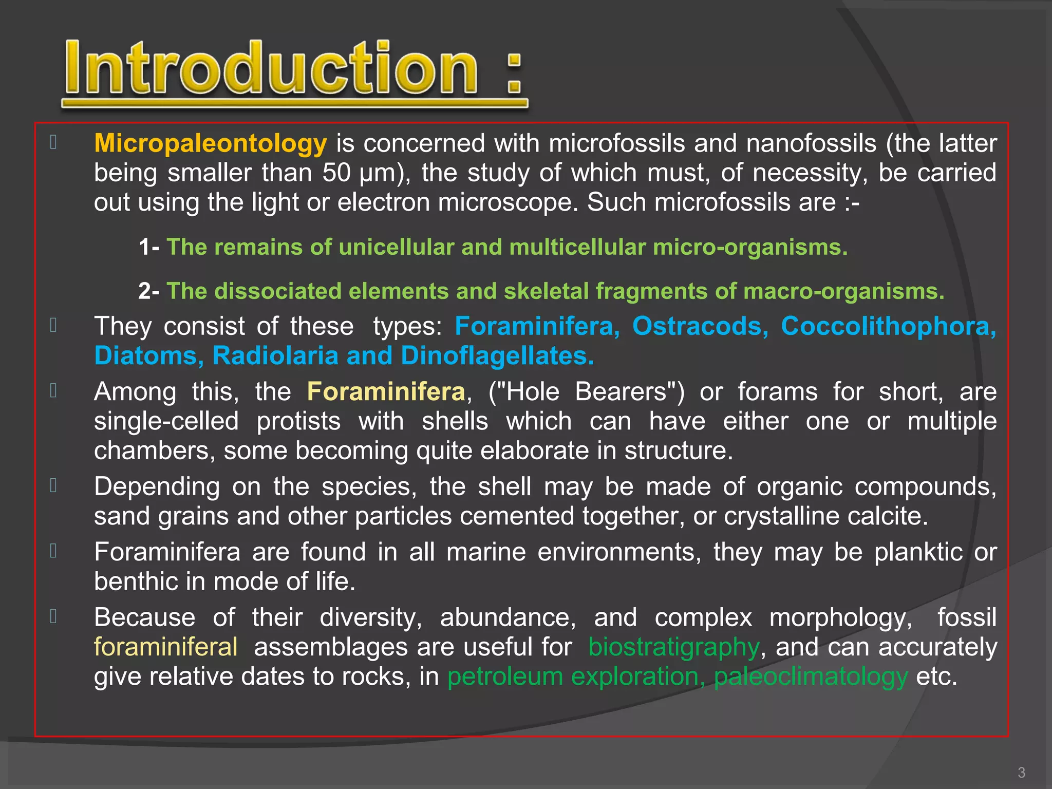 Morphology of foraminifera | PPT