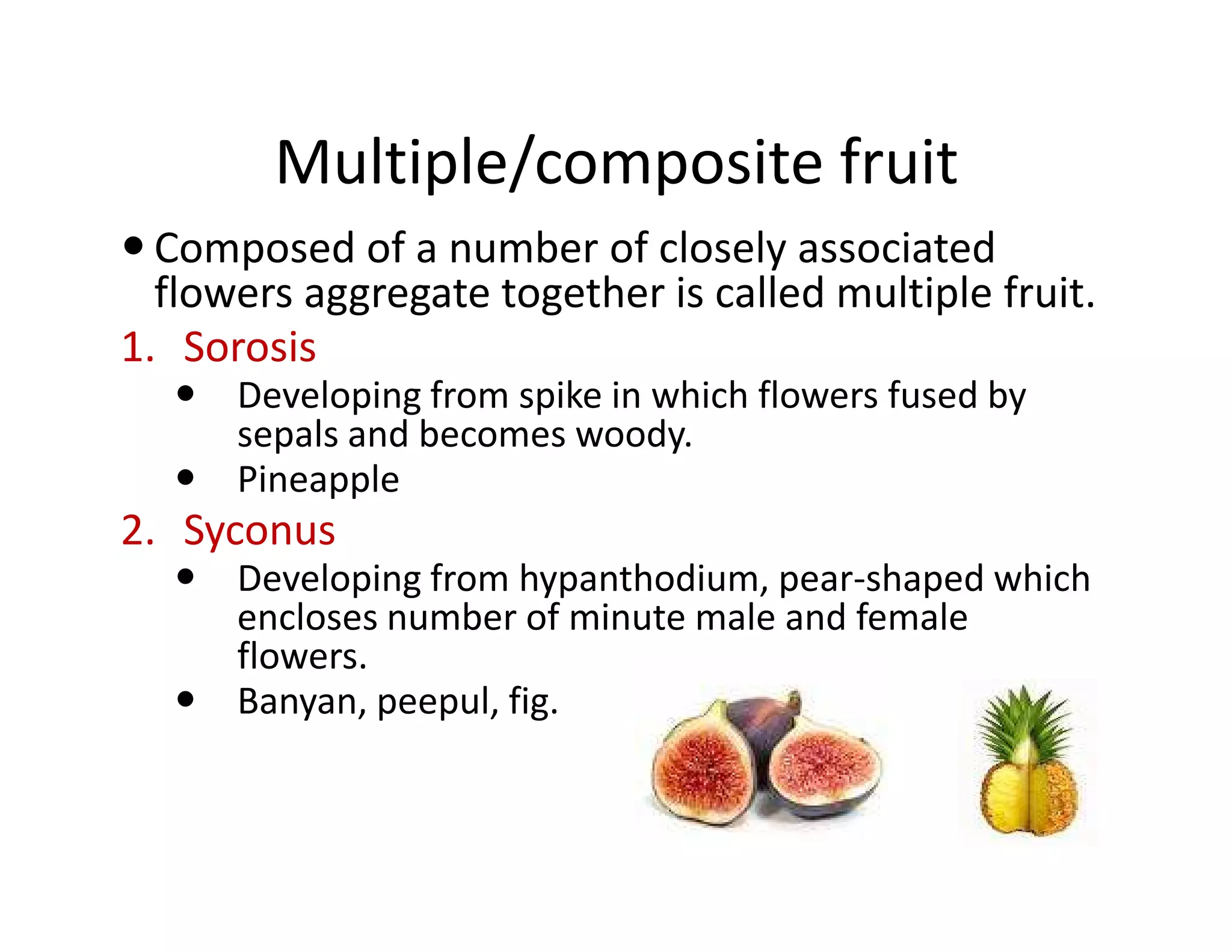 Multiple/composite fruit
  Composed of a number of closely associated
  flowers aggregate together is called multiple fruit.
1. Sorosis
      Developing from spike in which flowers fused by
      sepals and becomes woody.
      Pineapple
2. Syconus
      Developing from hypanthodium, pear-shaped which
      encloses number of minute male and female
      flowers.
      Banyan, peepul, fig.
 