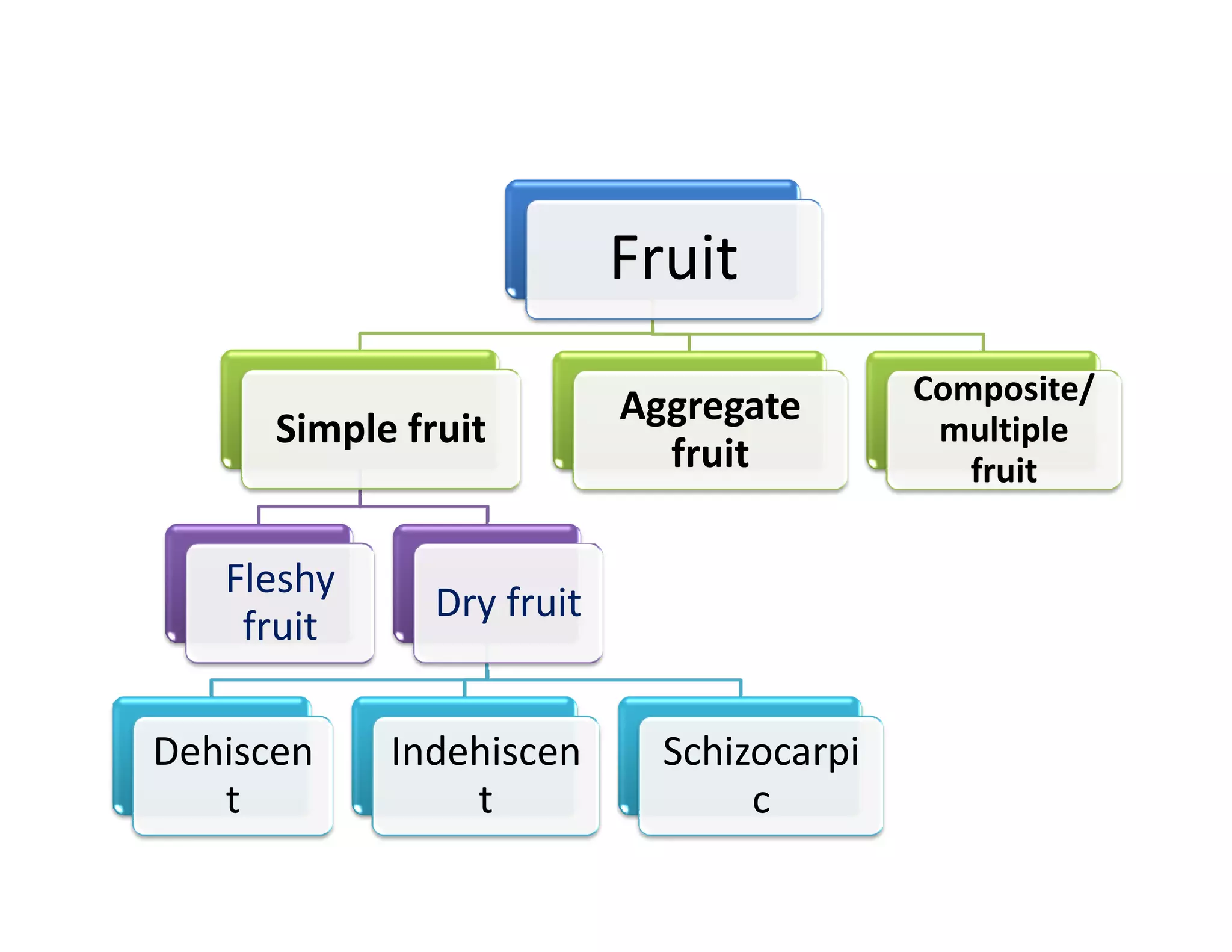 Fruit
                                           Composite/
                           Aggregate
      Simple fruit                          multiple
                             fruit            fruit

   Fleshy
               Dry fruit
    fruit

Dehiscen    Indehiscen       Schizocarpi
   t            t                 c
 