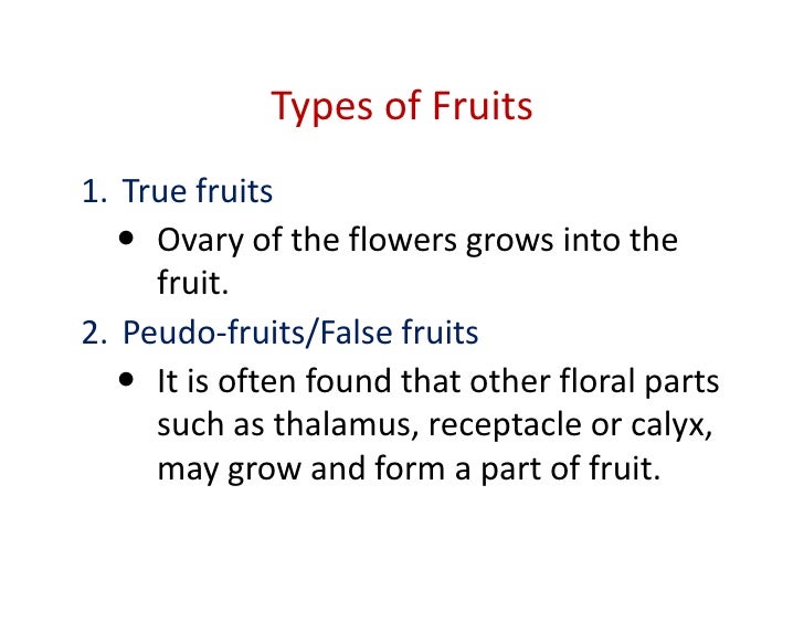 Morphology of fruits