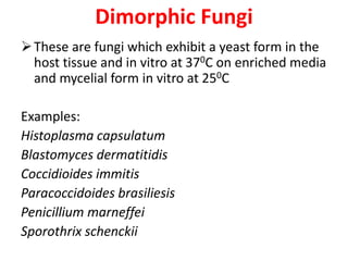 Dimorphic Fungi
These are fungi which exhibit a yeast form in the
host tissue and in vitro at 370C on enriched media
and mycelial form in vitro at 250C
Examples:
Histoplasma capsulatum
Blastomyces dermatitidis
Coccidioides immitis
Paracoccidoides brasiliesis
Penicillium marneffei
Sporothrix schenckii
 