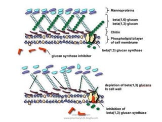 Downloded from
www.pharmacy123.blogfa.com
 