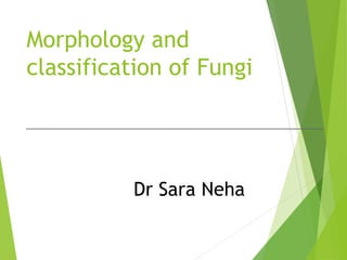 Morphology and
classification of Fungi
Dr Sara Neha
 