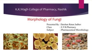 K.K.Wagh College of Pharmacy, Nashik
Morphology of Fungi
Presented By : Darshan Ratan Jadhav
Class : S.Y.B.Pharmacy
Subject : Pharmaceutical Microbiology
 