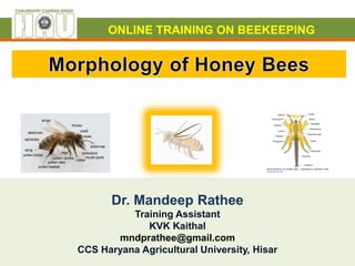 Dr. Mandeep Rathee
Training Assistant
KVK Kaithal
mndprathee@gmail.com
CCS Haryana Agricultural University, Hisar
ONLINE TRAINING ON BEEKEEPING
 