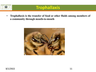 Trophallaxis
• Trophallaxis is the transfer of food or other fluids among members of
a community through mouth-to-mouth
8/1/2022 11
 