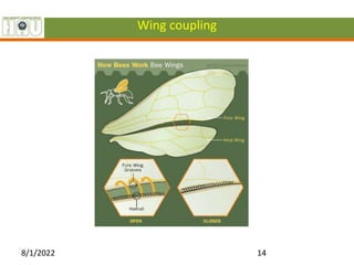 Wing coupling
8/1/2022 14
 