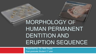 MORPHOLOGY OF
HUMAN PERMANENT
DENTITION AND
ERUPTION SEQUENCE
Presented by:- Dr. Nitin Gupta
Post graduate Student 1st year
 