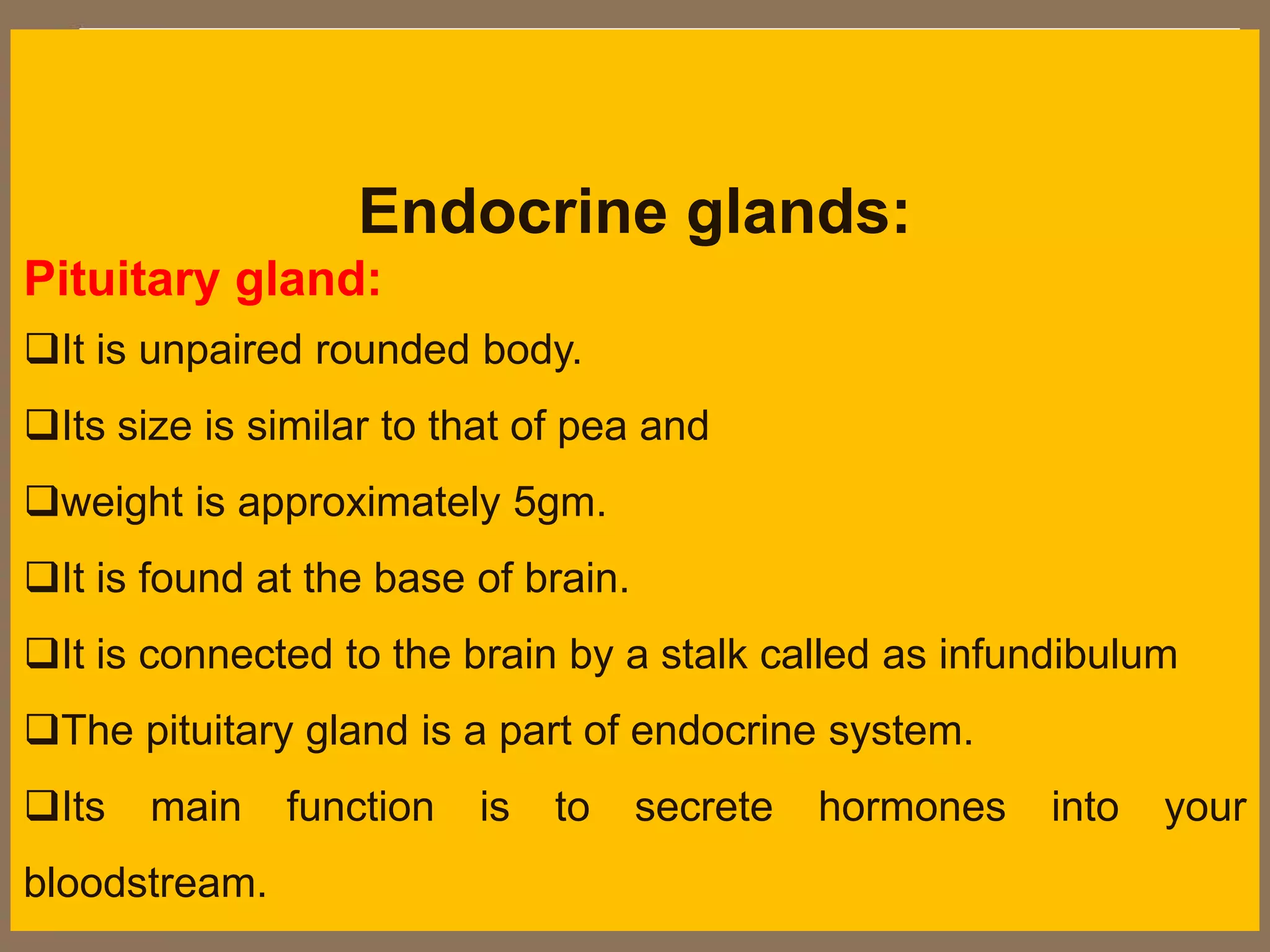 Which Of The Following Is Not An Endocrine Gland Quizlet - 8as5iit