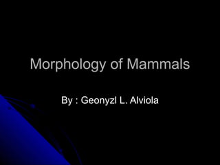 Morphology of Mammals By : Geonyzl L. Alviola 