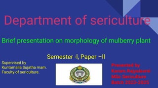 Semester -l, Paper –ll
Supervised by
Kuntamalla Sujatha mam.
Faculty of sericulture.
Presented by
Karam.Rajyalaxmi
MSc Sericulture
Batch 2023-2025
Brief presentation on morphology of mulberry plant
 