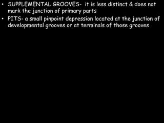 • SUPPLEMENTAL GROOVES- it is less distinct & does not
mark the junction of primary parts
• PITS- a small pinpoint depression located at the junction of
developmental grooves or at terminals of those grooves
 