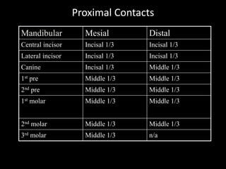Proximal Contacts
Mandibular Mesial Distal
Central incisor Incisal 1/3 Incisal 1/3
Lateral incisor Incisal 1/3 Incisal 1/3
Canine Incisal 1/3 Middle 1/3
1st pre Middle 1/3 Middle 1/3
2nd pre Middle 1/3 Middle 1/3
1st molar Middle 1/3 Middle 1/3
2nd molar Middle 1/3 Middle 1/3
3rd molar Middle 1/3 n/a
 