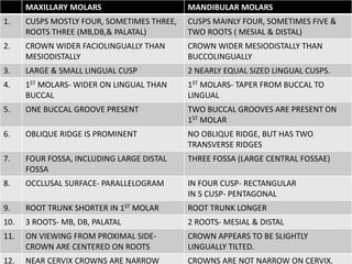 MAXILLARY MOLARS MANDIBULAR MOLARS
1. CUSPS MOSTLY FOUR, SOMETIMES THREE,
ROOTS THREE (MB,DB,& PALATAL)
CUSPS MAINLY FOUR, SOMETIMES FIVE &
TWO ROOTS ( MESIAL & DISTAL)
2. CROWN WIDER FACIOLINGUALLY THAN
MESIODISTALLY
CROWN WIDER MESIODISTALLY THAN
BUCCOLINGUALLY
3. LARGE & SMALL LINGUAL CUSP 2 NEARLY EQUAL SIZED LINGUAL CUSPS.
4. 1ST MOLARS- WIDER ON LINGUAL THAN
BUCCAL
1ST MOLARS- TAPER FROM BUCCAL TO
LINGUAL
5. ONE BUCCAL GROOVE PRESENT TWO BUCCAL GROOVES ARE PRESENT ON
1ST MOLAR
6. OBLIQUE RIDGE IS PROMINENT NO OBLIQUE RIDGE, BUT HAS TWO
TRANSVERSE RIDGES
7. FOUR FOSSA, INCLUDING LARGE DISTAL
FOSSA
THREE FOSSA (LARGE CENTRAL FOSSAE)
8. OCCLUSAL SURFACE- PARALLELOGRAM IN FOUR CUSP- RECTANGULAR
IN 5 CUSP- PENTAGONAL
9. ROOT TRUNK SHORTER IN 1ST MOLAR ROOT TRUNK LONGER
10. 3 ROOTS- MB, DB, PALATAL 2 ROOTS- MESIAL & DISTAL
11. ON VIEWING FROM PROXIMAL SIDE-
CROWN ARE CENTERED ON ROOTS
CROWN APPEARS TO BE SLIGHTLY
LINGUALLY TILTED.
12. NEAR CERVIX CROWNS ARE NARROW CROWNS ARE NOT NARROW ON CERVIX.
 