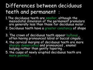 Differences between deciduous
teeth and permanent :
1.The deciduous teeth are smaller, although the
mesiodistal dimension of the permanent premolars
are generally less than those for deciduous molar .
2. Deciduous teeth have a greater constancy of shape
.
3. The crown of deciduous teeth appear bulbous ,
often having pronounced labial or buccal cingula .
4. the cervical margins of deciduous teeth are more
sharply demarcated and pronounced , enamel
bulging rather than gently tapering .
5. the cusps of newly erupted deciduous teeth are
more pointed .
 