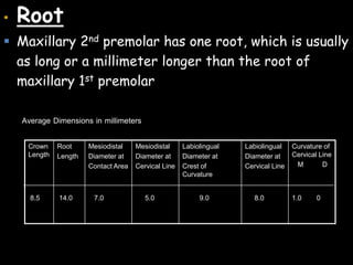 • Root
 Maxillary 2nd premolar has one root, which is usually
as long or a millimeter longer than the root of
maxillary 1st premolar
1.0 08.09.05.07.014.08.5
Curvature of
Cervical Line
M D
Labiolingual
Diameter at
Cervical Line
Labiolingual
Diameter at
Crest of
Curvature
Mesiodistal
Diameter at
Cervical Line
Mesiodistal
Diameter at
Contact Area
Root
Length
Crown
Length
Average Dimensions in millimeters
 
