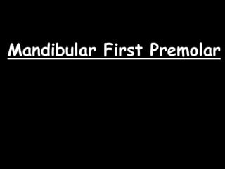 Mandibular First Premolar
 