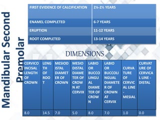 FIRST EVIDENCE OF CALCIFICATION 2¼-2½ YEARS
ENAMEL COMPLETED 6-7 YEARS
ERUPTION 11-12 YEARS
ROOT COMPLETED 13-14 YEARS
DIMENSIONS
CERVICO
INCISAL
LENGTH
OF
CROWN
LENG
TH
OF
ROO
T
MESIOD
ISTAL
DIAMET
ER OF
CROWN
MESIO
DISTAL
DIAME
TER OF
CROW
N AT
CERVIX
LABIO
OR
BUCCO
LINGU
AL
DIAME
TER OF
CROW
N
LABIO
OR
BUCCOLI
NGUAL
DIAMETE
R OF
CROWN
AT
CERVIX
CURVA
TURE
OF
CERVIC
AL LINE
-
MESIAL
CURVAT
URE OF
CERVICA
L LINE -
DISTAL
8.0 14.5 7.0 5.0 8.0 7.0 1.0 0.0
 