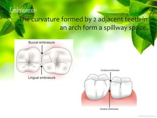 Embrasures-
The curvature formed by 2 adjacent teeth in
an arch form a spillway space.
 