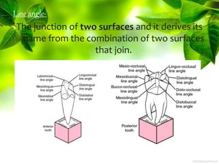 Line angle-
The junction of two surfaces and it derives its
name from the combination of two surfaces
that join.
 