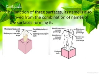 Point angle-
The junction of three surfaces, its name is also
derived from the combination of names of
the surfaces forming it.
 