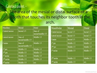Contact point –
The area of the mesial or distal surface of a
tooth that touches its neighbor tooth in the
arch.
 