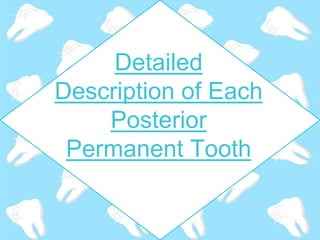 Detailed
Description of Each
Posterior
Permanent Tooth
 