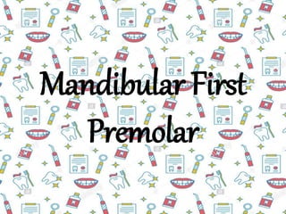Mandibular First
Premolar
 
