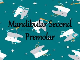 Mandibular Second
Premolar
 
