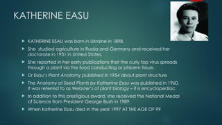 KATHERINE EASU
 KATHERINE ESAU was born in Ukraine in 1898.
 She studied agriculture in Russia and Germany and received her
doctorate in 1931 in United States.
 She reported in her early publications that the curly top virus spreads
through a plant via the food conducting or phloem tissue.
 Dr Esau’s Plant Anatomy published in 1954 about plant structure
 The Anatomy of Seed Plants by Katherine Esau was published in 1960.
It was referred to as Webster’s of plant biology – it is encyclopediac.
 In addition to this prestigious award, she received the National Medal
of Science from President George Bush in 1989.
 When Katherine Esau died in the year 1997 AT THE AGE OF 99
 