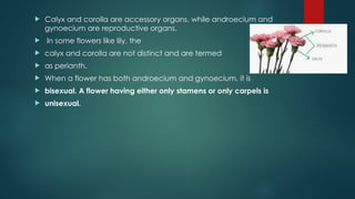  Calyx and corolla are accessory organs, while androecium and
gynoecium are reproductive organs.
 In some flowers like lily, the
 calyx and corolla are not distinct and are termed
 as perianth.
 When a flower has both androecium and gynoecium, it is
 bisexual. A flower having either only stamens or only carpels is
 unisexual.
 