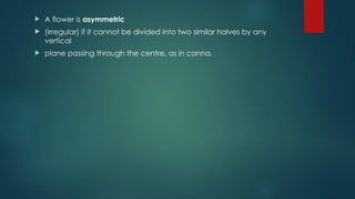  A flower is asymmetric
 (irregular) if it cannot be divided into two similar halves by any
vertical
 plane passing through the centre, as in canna.
 