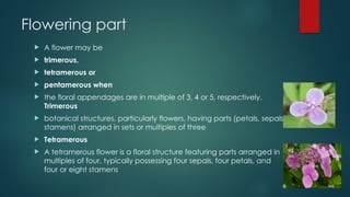 Flowering part
 A flower may be
 trimerous,
 tetramerous or
 pentamerous when
 the floral appendages are in multiple of 3, 4 or 5, respectively.
Trimerous
 botanical structures, particularly flowers, having parts (petals, sepals,
stamens) arranged in sets or multiples of three
 Tetramerous
 A tetramerous flower is a floral structure featuring parts arranged in
multiples of four, typically possessing four sepals, four petals, and
four or eight stamens
 