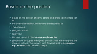 Based on the position
 Based on the position of calyx, corolla and androecium in respect
of
 the ovary on thalamus, the flowers are described as
 hypogynous,
 perigynous and
 Epigynous
 Hypogynous(a): In the hypogynous flower the
 gynoecium occupies the highest position while the other parts are
situated below it. The ovary in such flowers is said to be superior,
e.g., mustard,china rose and brinjal.
 