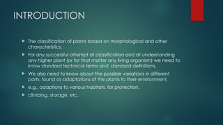 INTRODUCTION
 The classification of plants based on morphological and other
characteristics.
 For any successful attempt at classification and at understanding
any higher plant (or for that matter any living organism) we need to
know standard technical terms and standard definitions.
 We also need to know about the possible variations in different
parts, found as adaptations of the plants to their environment,
 e.g., adaptions to various habitats, for protection,
 climbing, storage, etc.
 