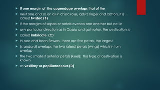  If one margin of the appendage overlaps that of the
 next one and so on as in china rose, lady’s finger and cotton, it is
called twisted.(B)
 If the margins of sepals or petals overlap one another but not in
 any particular direction as in Cassia and gulmohur, the aestivation is
 called imbricate. (C)
 In pea and bean flowers, there are five petals, the largest
 (standard) overlaps the two lateral petals (wings) which in turn
overlap
 the two smallest anterior petals (keel); this type of aestivation is
known
 as vexillary or papilionaceous.(D)
 