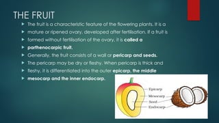THE FRUIT
 The fruit is a characteristic feature of the flowering plants. It is a
 mature or ripened ovary, developed after fertilisation. If a fruit is
 formed without fertilisation of the ovary, it is called a
 parthenocarpic fruit.
 Generally, the fruit consists of a wall or pericarp and seeds.
 The pericarp may be dry or fleshy. When pericarp is thick and
 fleshy, it is differentiated into the outer epicarp, the middle
 mesocarp and the inner endocarp.
 