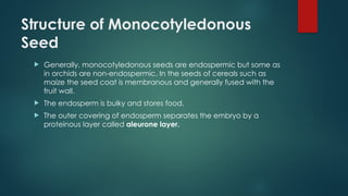 MORPHOLOGY OF PLANT UNIT 5 NCERT CBSE CLASS 11 BIOLOGY.pptx