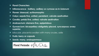  Floral Characters
 Inflorescence : Solitary, axillary or cymose as in Solanum
 Flower: bisexual, actinomorphic
 Calyx: sepals five, united, persistent, valvate aestivation
 Corolla: petals five, united; valvate aestivation
 Androecium: stamens five, epipetalous
 Gynoecium: bicarpellary obligately placed, syncarpous; ovary
superior,
 bilocular, placenta swollen with many ovules, axile
 Fruits: berry or capsule
 Seeds: many, endospermous
 