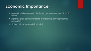 Economic Importance
 Many plants belonging to this family are source of food (tomato,
brinjal,
 potato), spice (chilli); medicine (belladonna, ashwagandha);
fumigatory
 (tobacco); ornamentals (petunia).
 