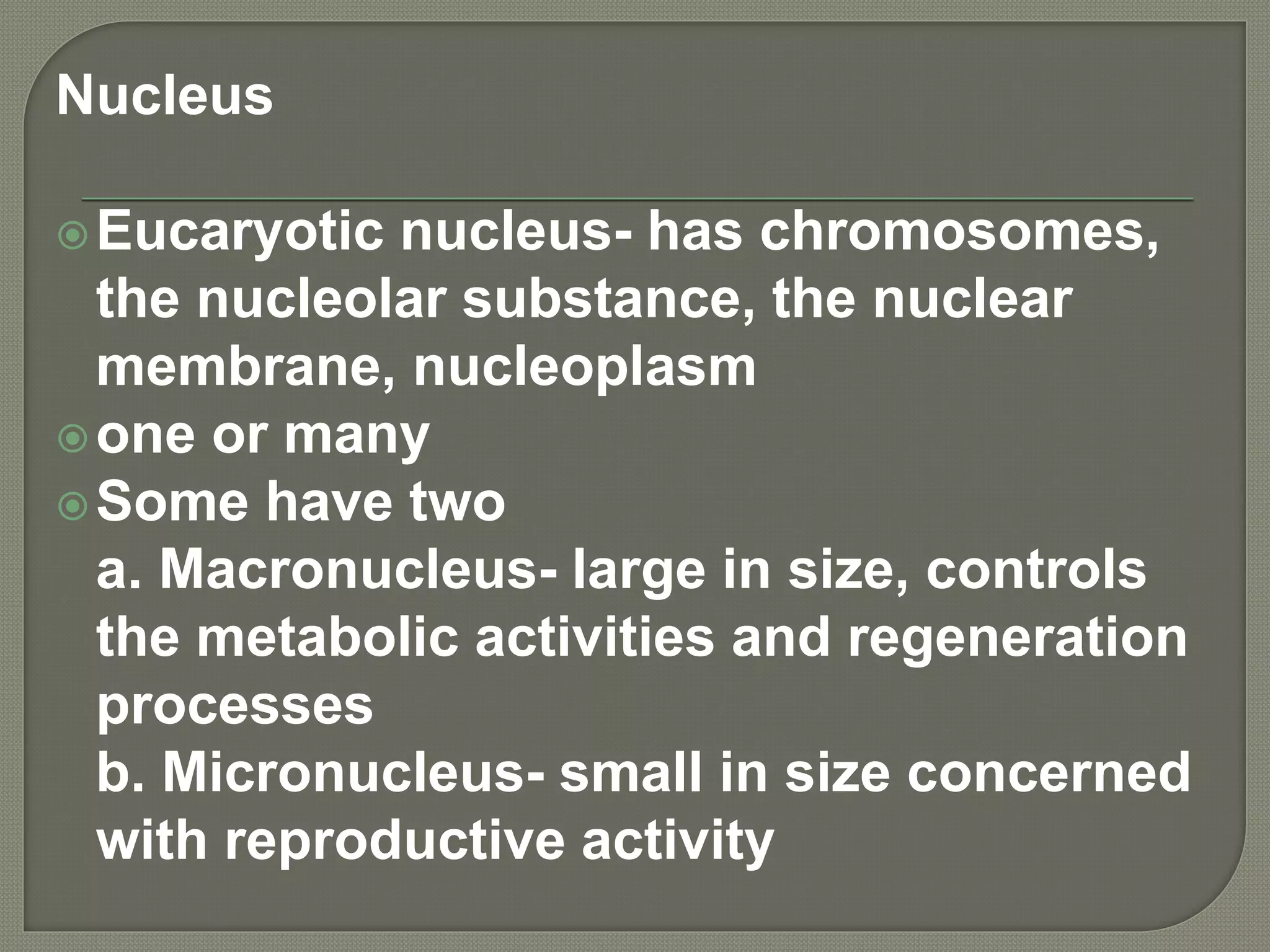 Nucleus
Eucaryotic nucleus- has chromosomes,
the nucleolar substance, the nuclear
membrane, nucleoplasm
one or many
Some have two
a. Macronucleus- large in size, controls
the metabolic activities and regeneration
processes
b. Micronucleus- small in size concerned
with reproductive activity
 