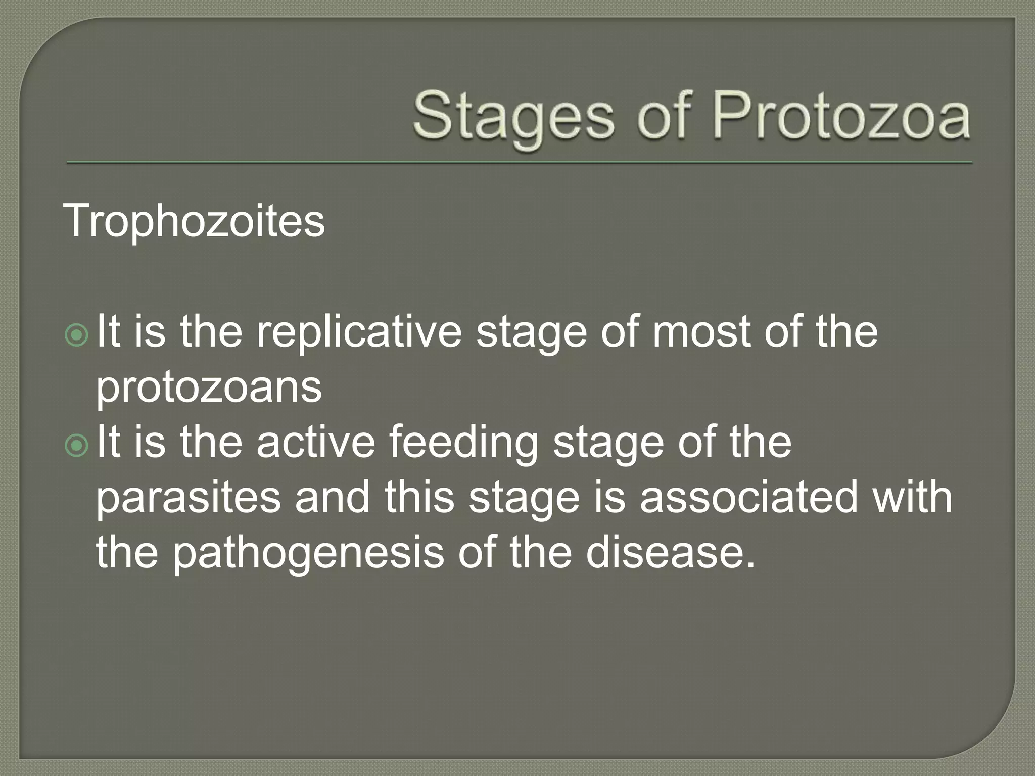 Trophozoites
It is the replicative stage of most of the
protozoans
It is the active feeding stage of the
parasites and this stage is associated with
the pathogenesis of the disease.
 