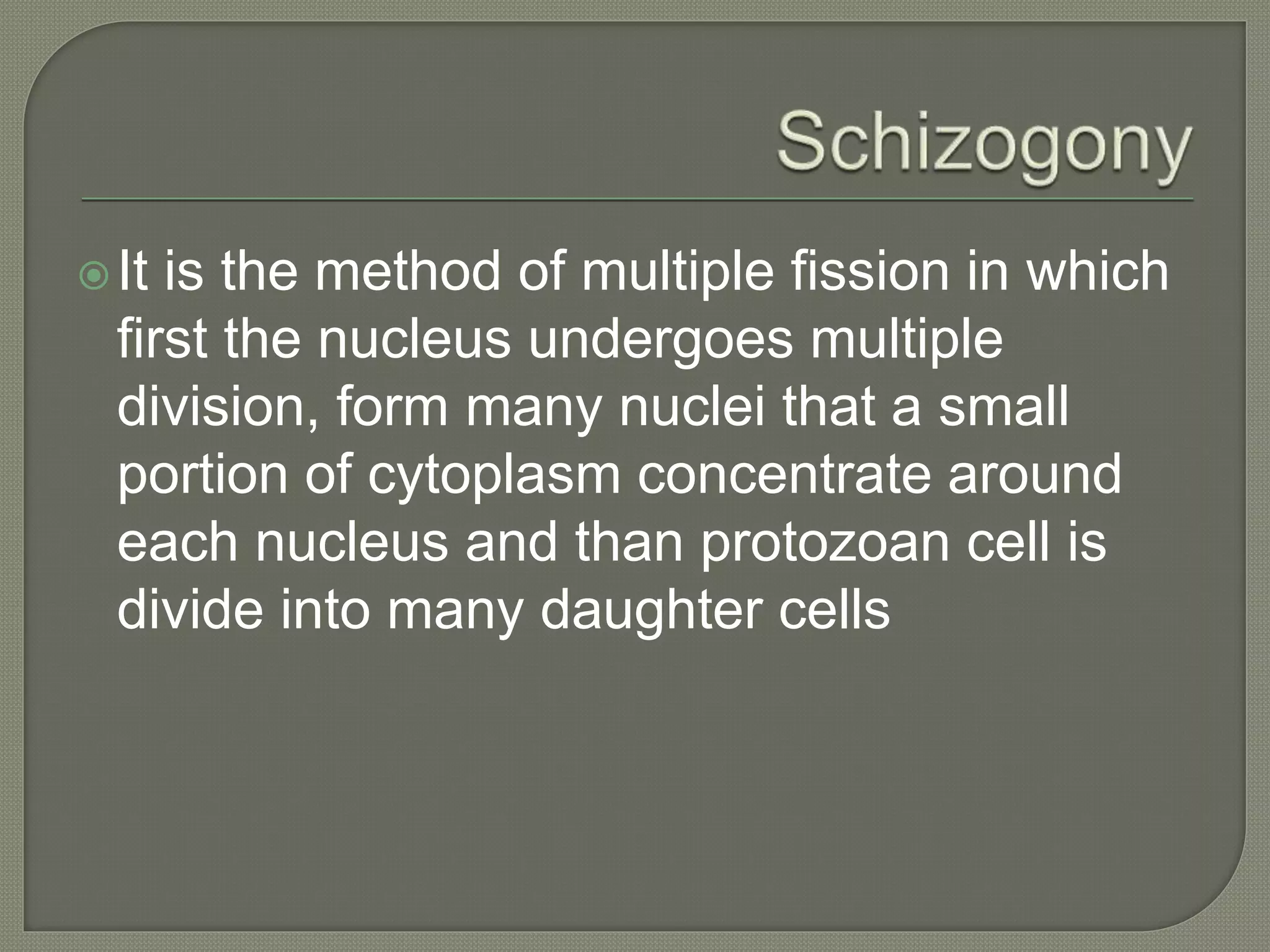 It is the method of multiple fission in which
first the nucleus undergoes multiple
division, form many nuclei that a small
portion of cytoplasm concentrate around
each nucleus and than protozoan cell is
divide into many daughter cells
 