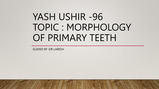 YASH USHIR -96
TOPIC : MORPHOLOGY
OF PRIMARY TEETH
GUIDED BY :DR LARESH
 